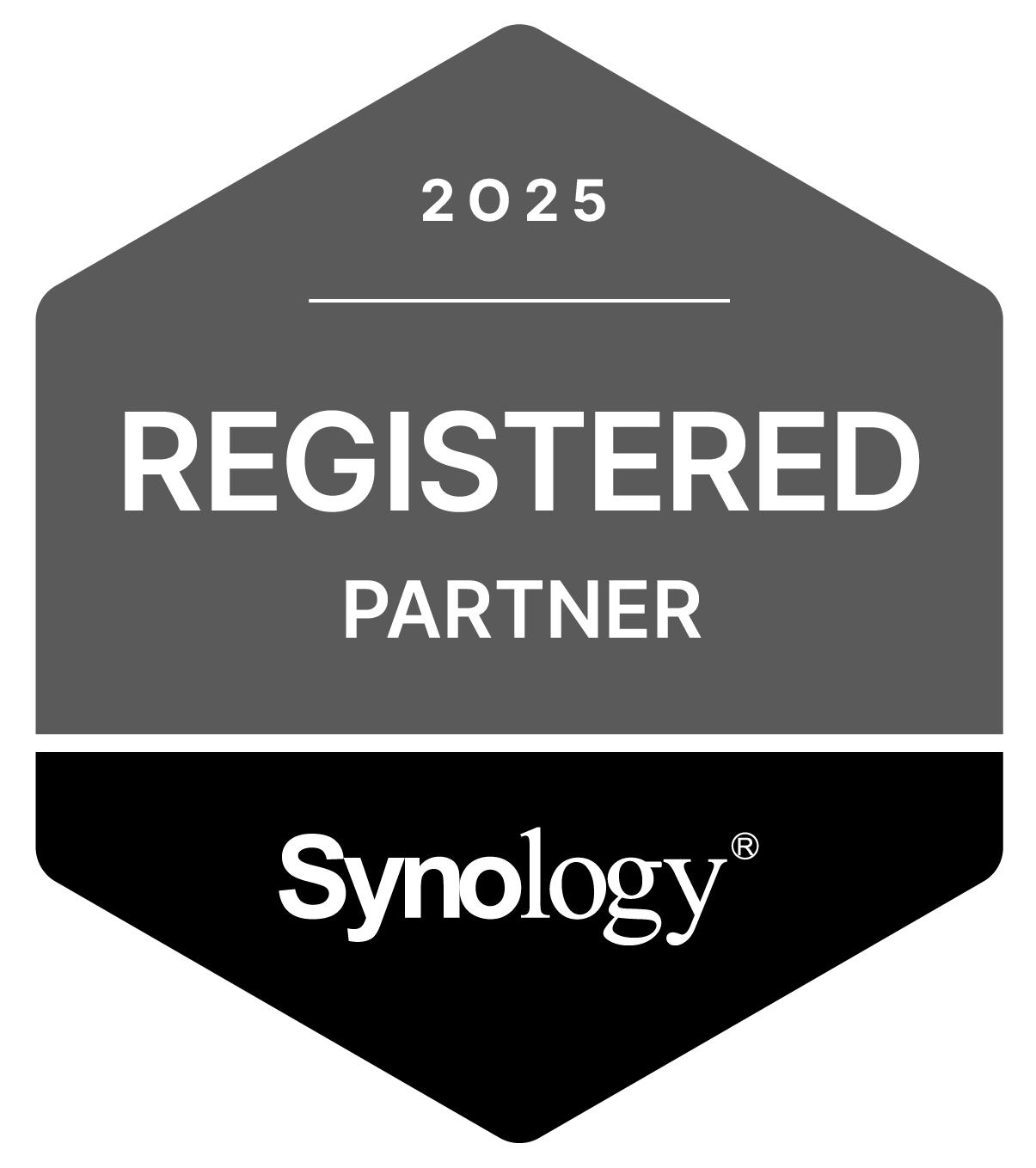 Synology Partner